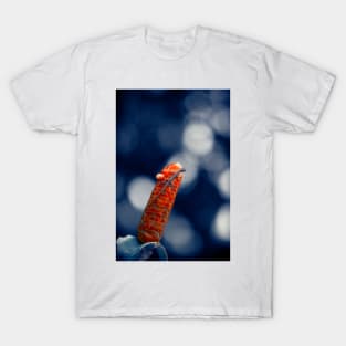 Red Ginger Flower T-Shirt